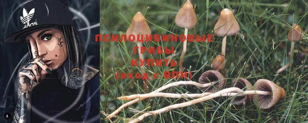 PSILOCYBIN Алексин