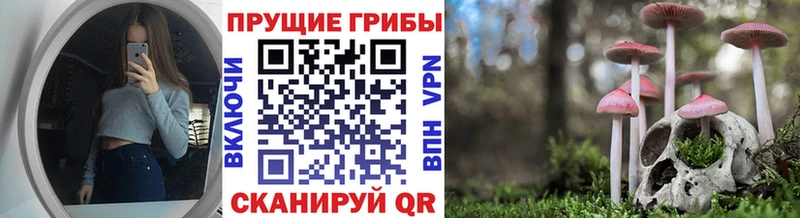 Псилоцибиновые грибы мицелий  Ивангород 